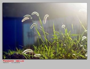 IMGP1544.jpg