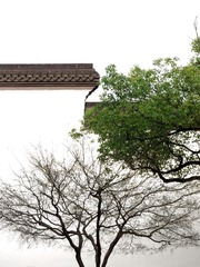 IMG_1008_副本.jpg