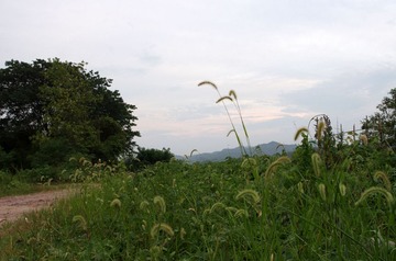 IMGP7851.jpg