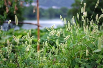 IMGP7846.jpg
