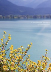 wolfgangsee,奥地利湖区