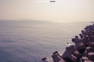 IMG_8538-ps-logo.jpg