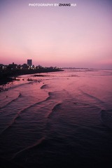 IMG_8656ps-logo.jpg