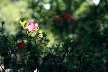 IMG_0589ps.jpg