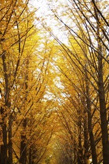 IMG_7876ps.jpg