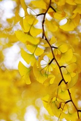 IMG_7995ps.jpg