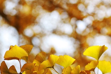IMG_8139ps.jpg