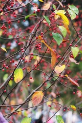 IMG_8201ps.jpg
