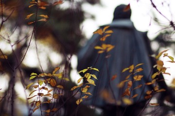 IMG_8395ps.jpg