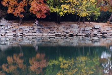 IMG_8500ps.jpg