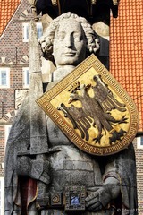 IMG_1027.jpg