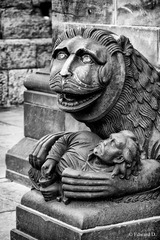 IMG_1058.jpg
