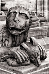 IMG_1066.jpg