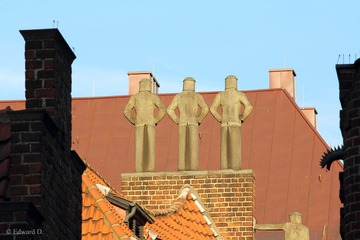 IMG_1422.jpg