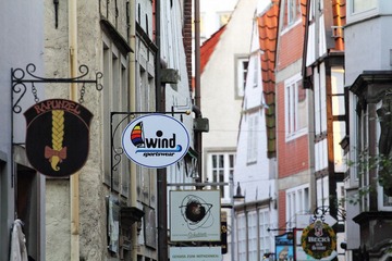 IMG_1510.jpg