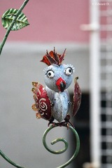 IMG_1649.jpg