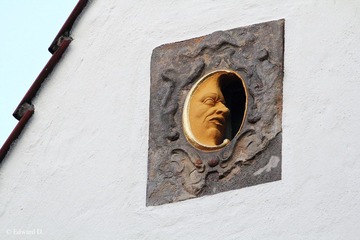 IMG_1665.jpg