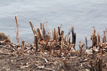 IMG_1846.jpg
