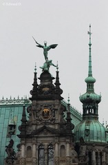IMG_1961.jpg
