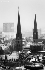 IMG_2310.jpg