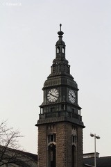 IMG_1754.jpg