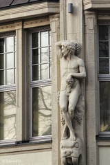 IMG_1755.jpg