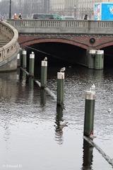 IMG_2001.jpg