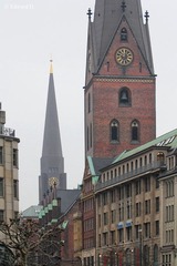 IMG_2054.jpg