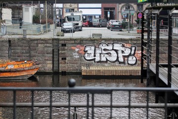 IMG_2278.jpg