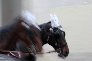 IMG_3826.jpg