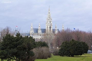 IMG_3874.jpg