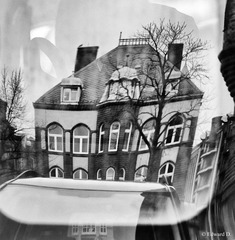 IMG_2220.jpg