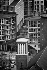 IMG_2320.jpg