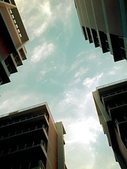 DSC_027l7.jpg