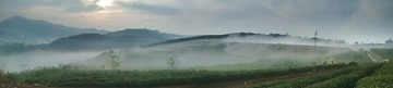 PANO_20150411_064815_1