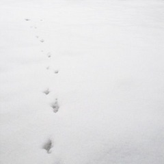 P1020901