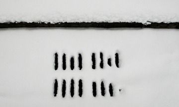 P1020904