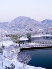 冬5