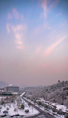 冬6