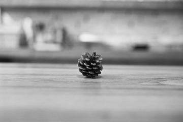 IMG_1051.jpg