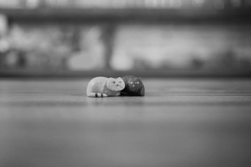 IMG_1349.jpg