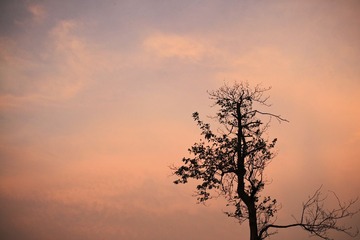 IMG_2088.jpg