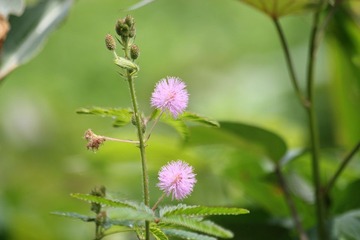 IMG_0736.jpg
