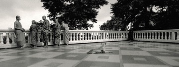 monks and dog