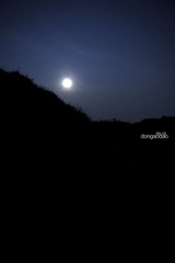 东澳岛