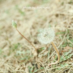 IMG_7072-1-2