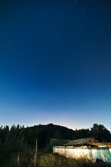 DSC_4303_1.jpg