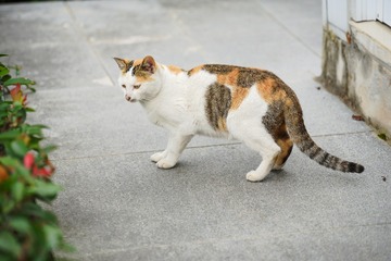 192044