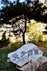 漫步回归