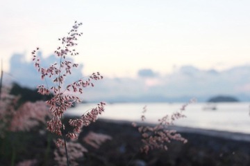 IMG_2073g.jpg